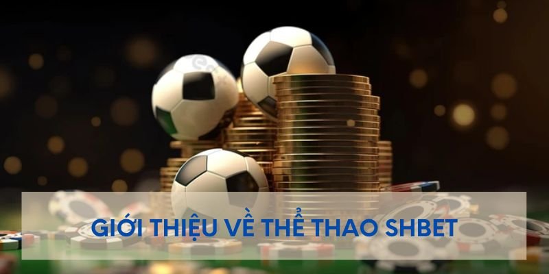 the-thao-shbet-2